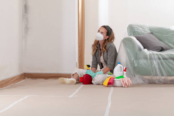 Reliable Basement Mold Removal contractor in Neptune, NJ by WQB Mold Removal